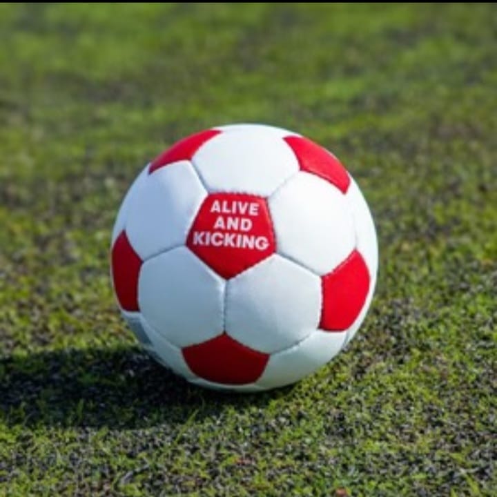 football Size 5 - Pigmented 